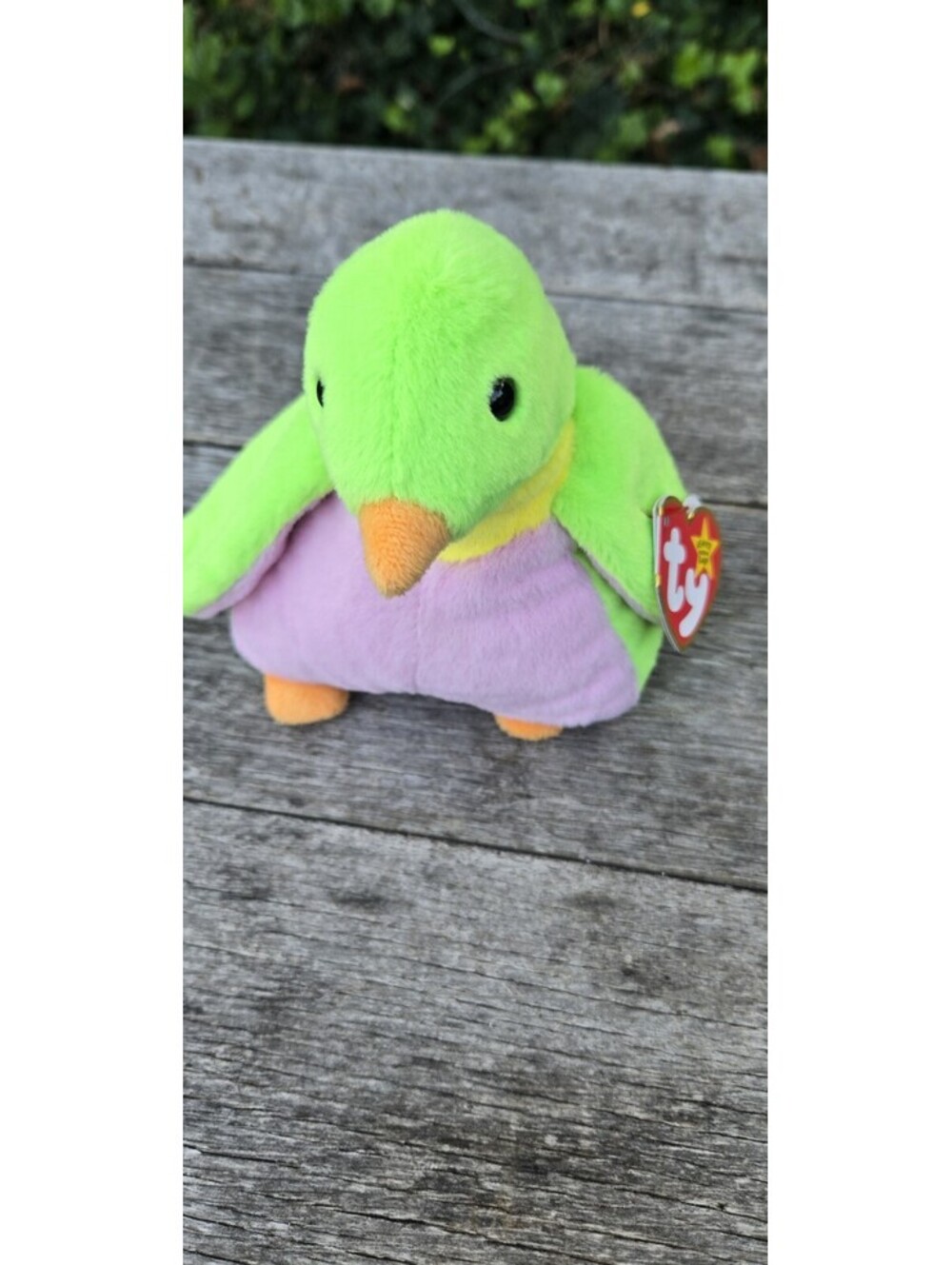 Ty Beanie Baby - GUS the Penguin Tags 2024 Green Pink Yellow 7"